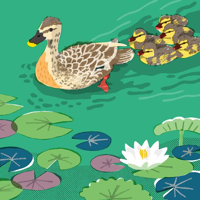 画像2: 3つのまちがいを探してください