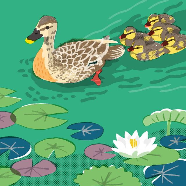 画像1: 3つのまちがいを探してください