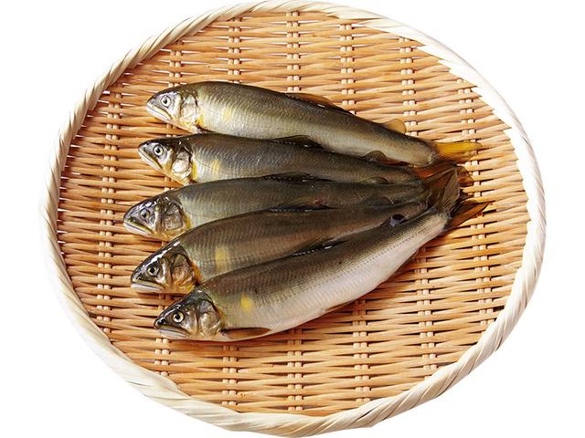 画像: 鮎 旬 5~9月