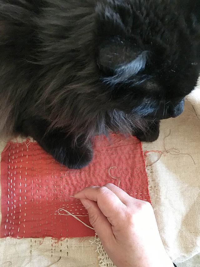 画像: 私の仕事中に布の上でくつろぐココ