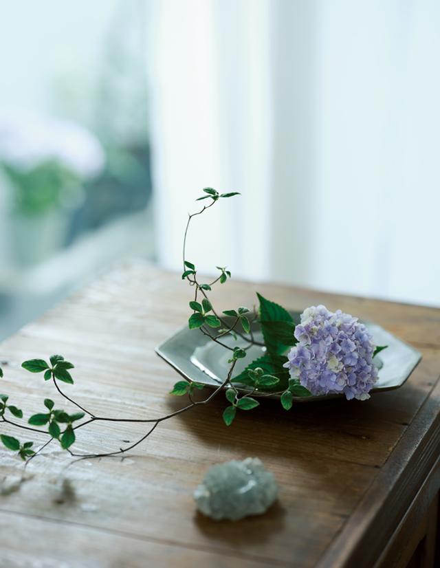 画像: 巻頭特集 平井かずみさん いつもの器で愉しむ花しつらい