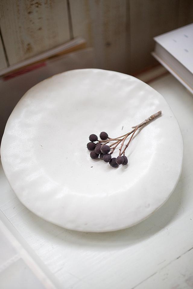 画像: 種子が飛んできて生長する季節の植物の実も、ポイントで彩る