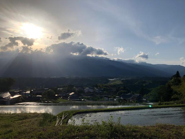 画像2: 村暮らし、まちあるき。
第12回 雨の日には、緑|玉木美企子