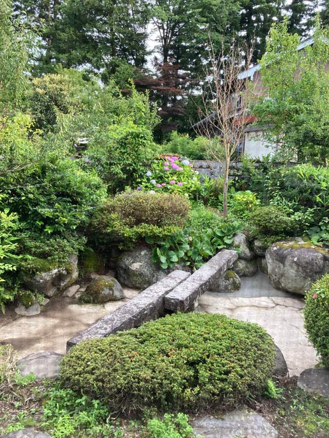画像: 雨の季節が始まり庭の緑が茂ってきました。