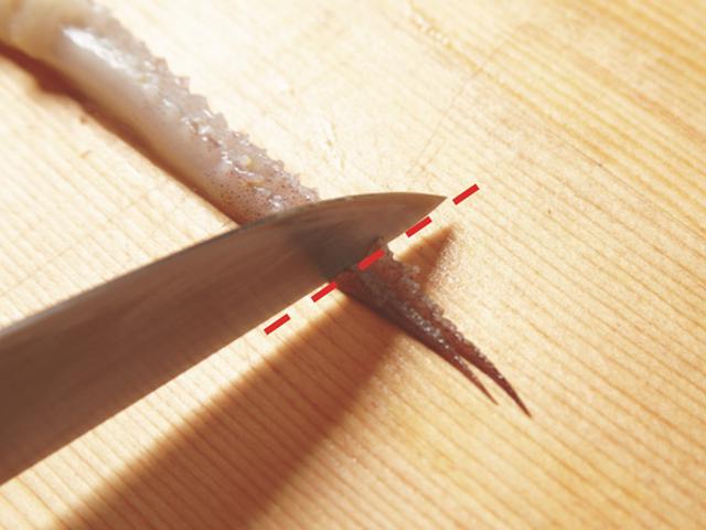 画像8: いかのさばき方