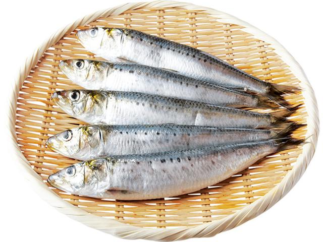 画像: いわし 旬 8~10月