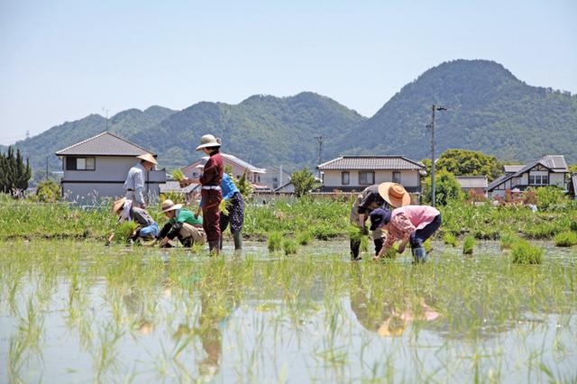 画像: 田んぼにはjoyしかない!