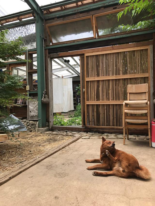 画像2: 移住はグラデーションで
