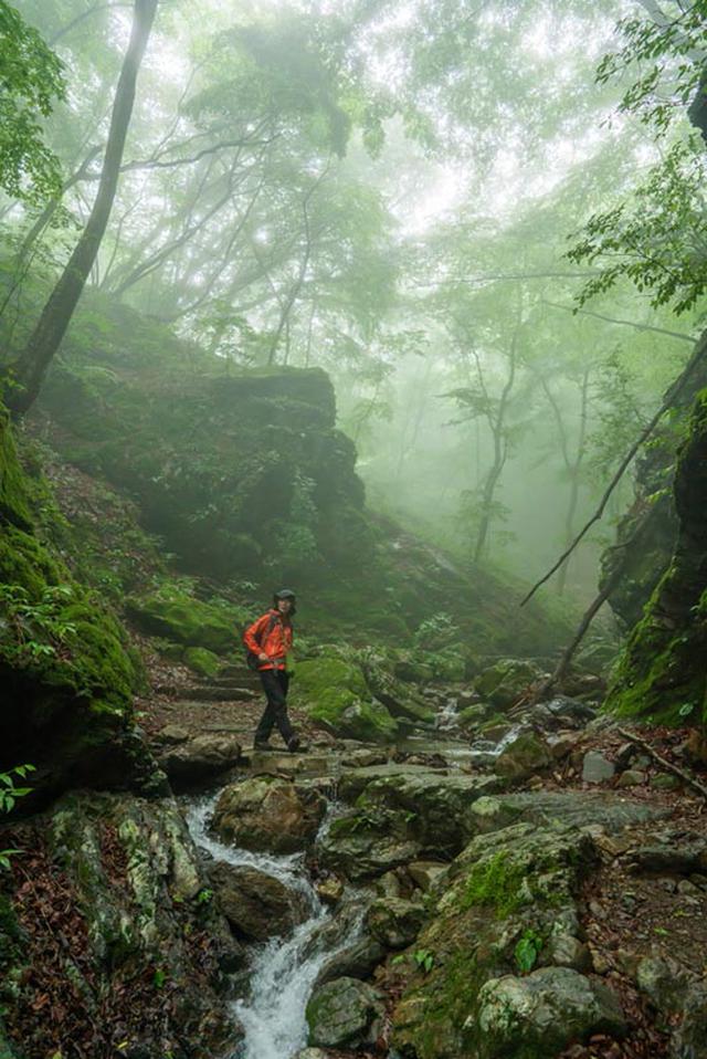 画像: 山登りで山に来たときは、キョロキョロしつつも、ちゃんと進んでいきます