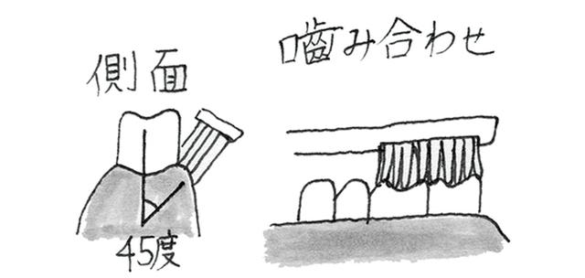 画像3: 歯ブラシを使う際のポイント