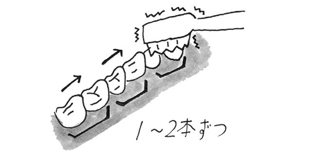 画像3: 電動歯ブラシを使う際のポイント