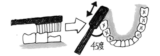 画像9: 歯ブラシを使う際のポイント