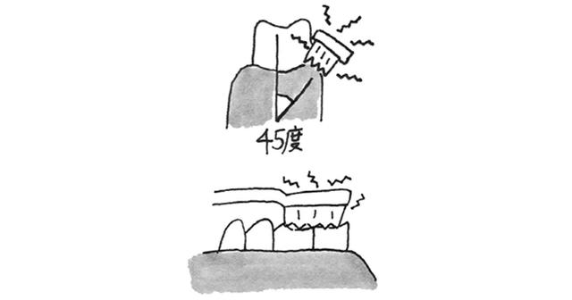 画像2: 電動歯ブラシを使う際のポイント