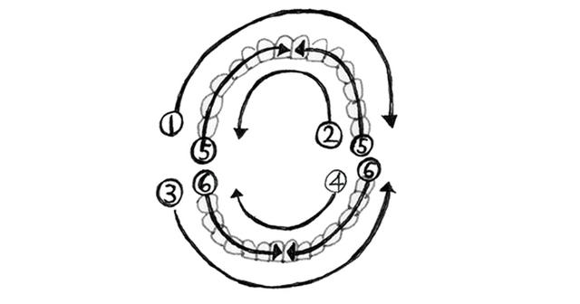画像5: 歯ブラシを使う際のポイント