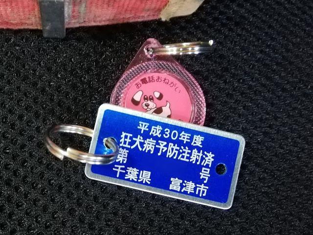 画像: 鑑札の番号を自治体に照らし合わせれば身元が判明するため、飼い主の元へ戻りやすい