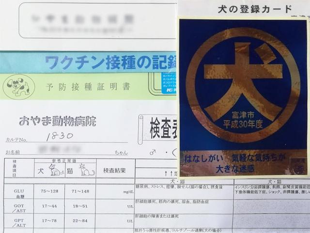 画像: ペットのデータはまとめておきましょう
