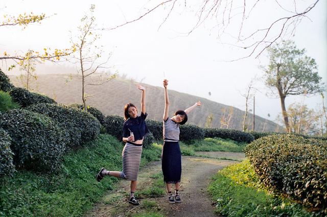 画像4: お茶のCM撮影のロケ地にもなった竹山の「八卦茶園(はっけちゃえん)」