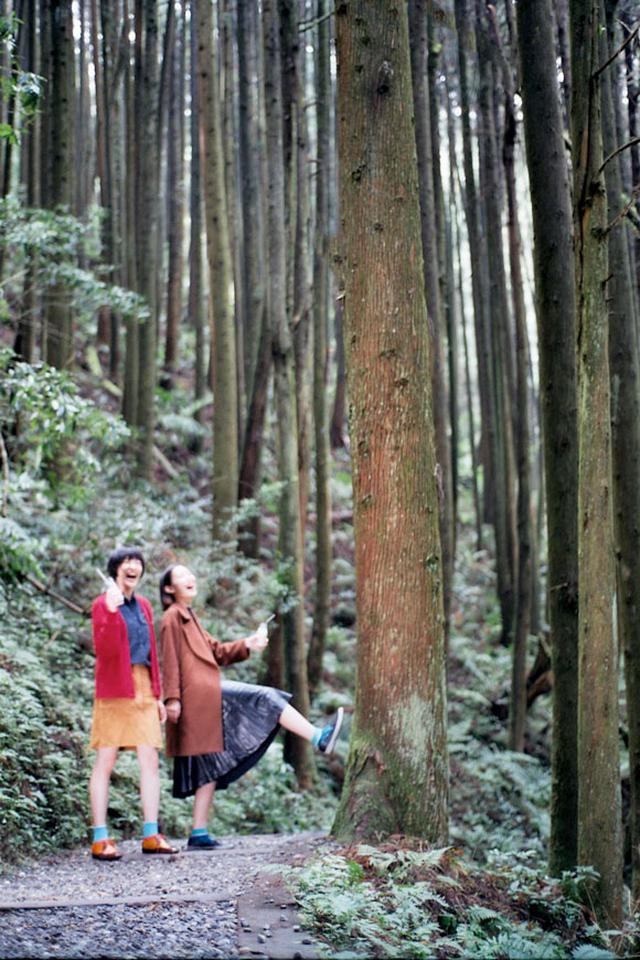 画像2: 「杉林溪(すぎばやしけい)」で、湖遊びと森林浴!