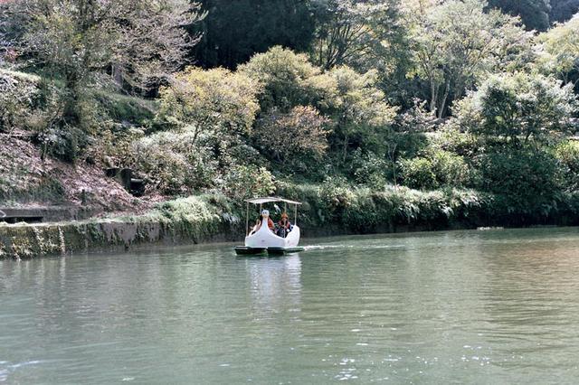 画像5: 「杉林溪(すぎばやしけい)」で、湖遊びと森林浴!