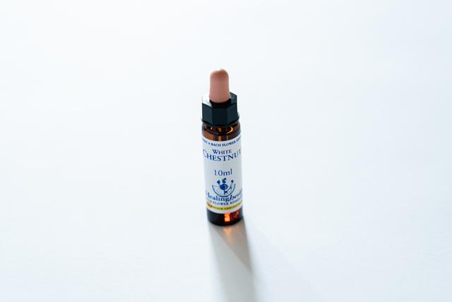 画像: ホワイトチェストナット/ バッチ フラワーレメディ ¥2,800(税込) 「いろいろな考え事がめぐって落ち着けない時、その日にあったことにとらわれて、ああでもないこうでもないと考えすぎて、 夜眠れないことがある時、心をリラックスさせ、本来の思考力や想像力を取り戻すことができるようサポートします」(谷口さん)