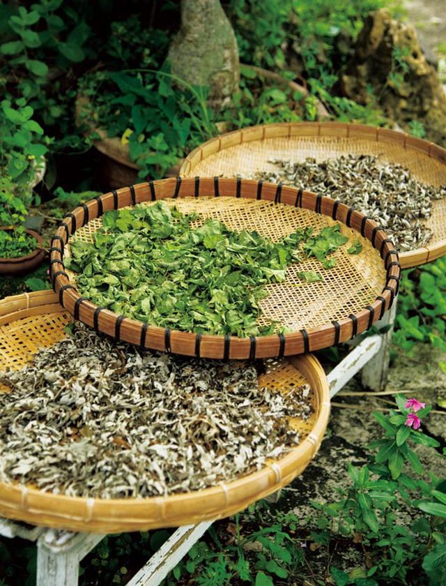 画像: 薬効のある草は、お茶にするため天日干しに。軒先のざるに並んでいたのはヨモギ、タンポポ、ツボクサの葉