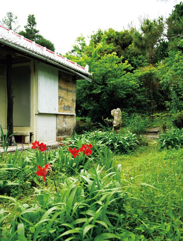画像: 自宅は沖縄県の南部にある築50年の一軒家。庭には南国らしい植物が茂っている