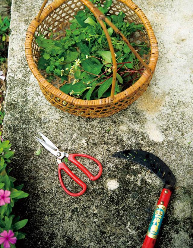 画像: 草摘みの三種の神器、かご・はさみ・クワ。草で料理をつくるときなどは大量に摘む必要があるので、使い慣れた道具が必須