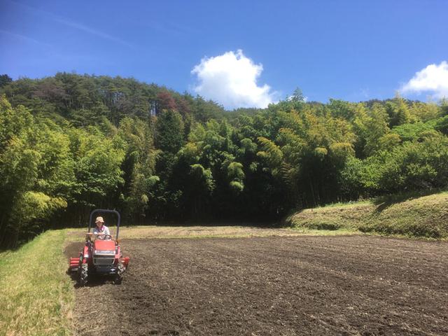 画像: 今春の、田おこしのようす