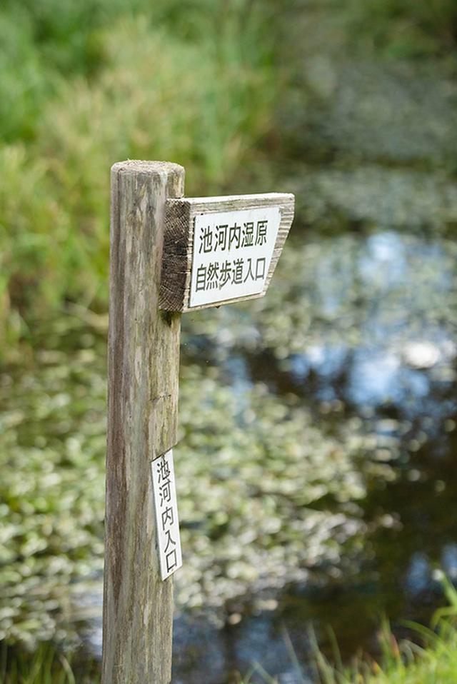 画像: 公衆トイレもある駐車スペースから100mほど歩くと、湿原入り口の立て看板があり、そこから木道を進みます