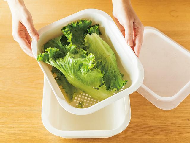 画像: 葉もの野菜は洗ってふた付きのバットに