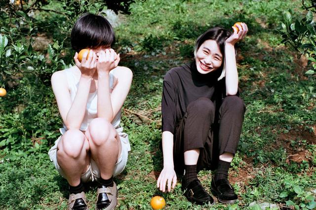画像1: 甘~いみかん「桶柑(たんかん)」の畑へ、冬のフルーツ狩り