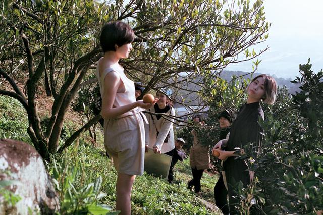 画像3: 甘~いみかん「桶柑(たんかん)」の畑へ、冬のフルーツ狩り