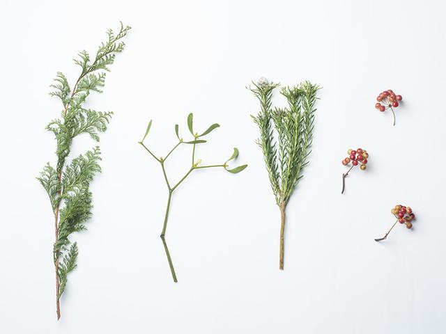 画像: |花材|