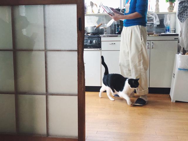 画像1: 猫の愛って……