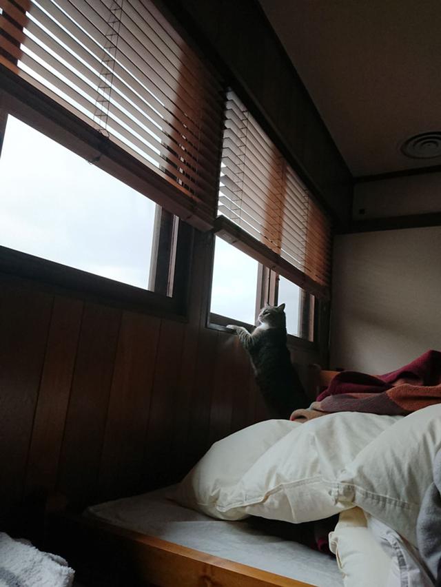 画像3: ぺーやん