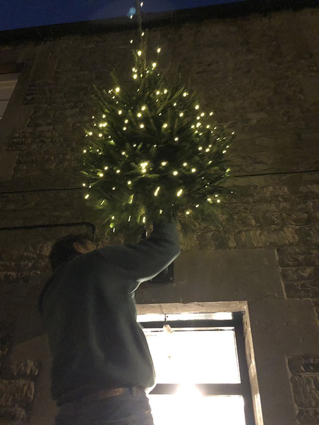 画像: 壁にクリスマスツリーを飾る夫
