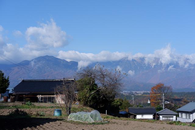 画像10: 懐かしささえ感じる写真とともに、2020年を再確認