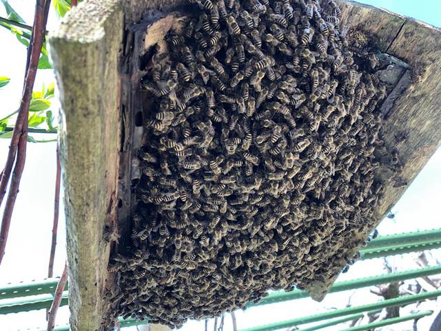 画像6: 懐かしささえ感じる写真とともに、2020年を再確認