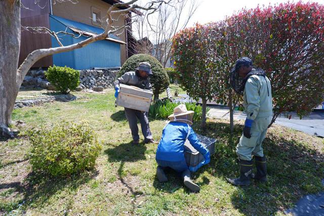 画像7: 懐かしささえ感じる写真とともに、2020年を再確認
