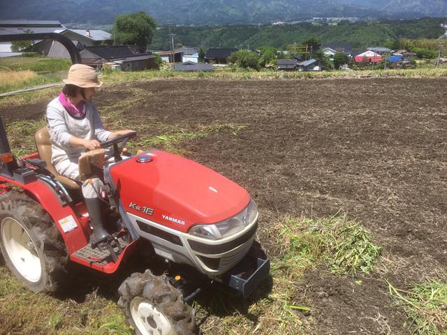 画像8: 懐かしささえ感じる写真とともに、2020年を再確認