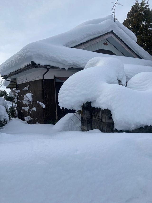 画像: 35年ぶりの大雪ですっかり埋もれました。