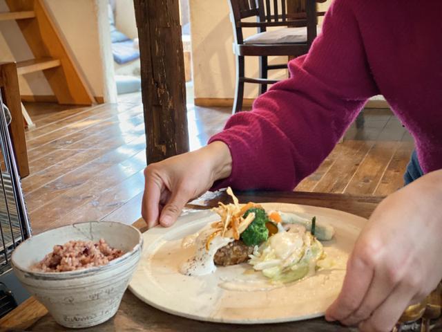 画像: 【メイン】ごぼうと大豆のハンバーグきのこソース 季節のグリル野菜SOYチーズソース もちきびと青葉ジェノベの大根巾着