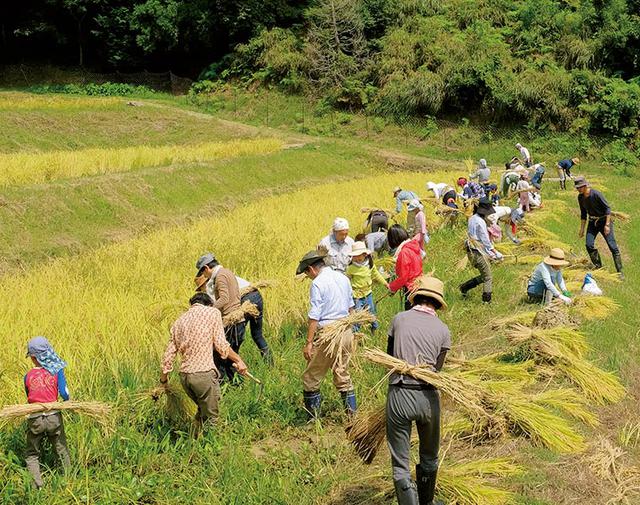 画像: 「無印良品 鴨川里山トラスト」では、田植えや稲刈りなどの農業体験イベントも実施。手や体を動かす「感じ良い暮らし」への取り組みのひとつ