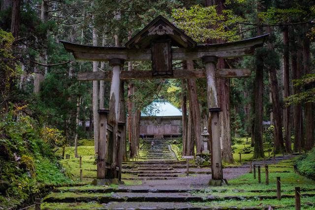 画像: 二の鳥居ごしに見た平泉寺白山神社の拝殿