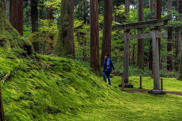 画像: 平泉寺を開山した泰澄がまつられている開山社にもお参りしました