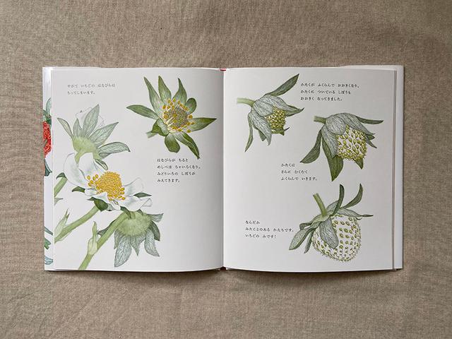 画像: いちごの花は、のちのちいちごになることが納得のかわいさ。