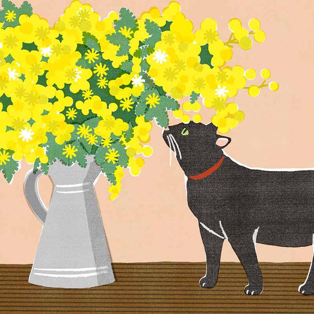 画像2: 3つのまちがいを探してください