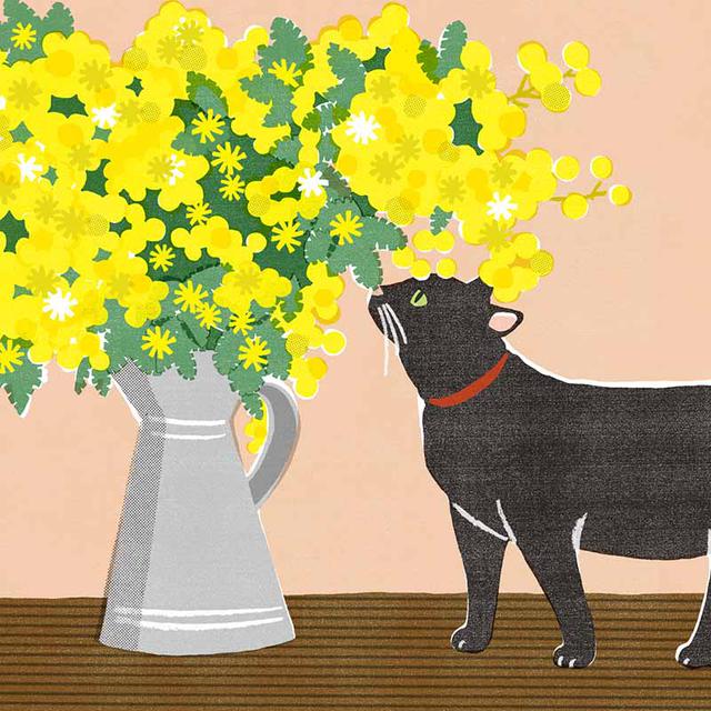 画像1: 3つのまちがいを探してください