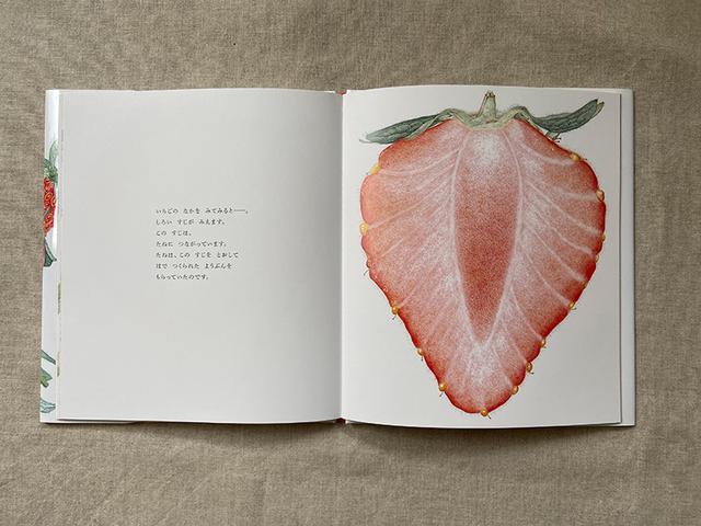 画像: いちごの断面図。とてもきれい。種が葉から養分をもらっていたことがよくわかります。