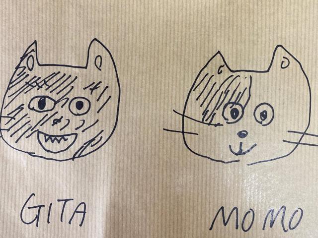 画像2: 猫ちゃんと暮らす